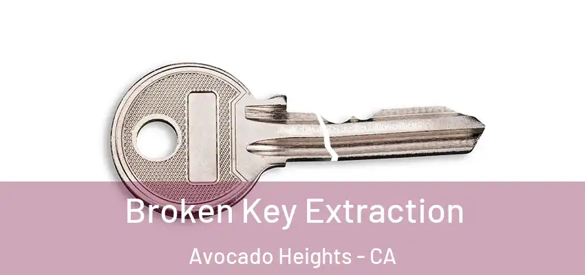  Broken Key Extraction Avocado Heights - CA